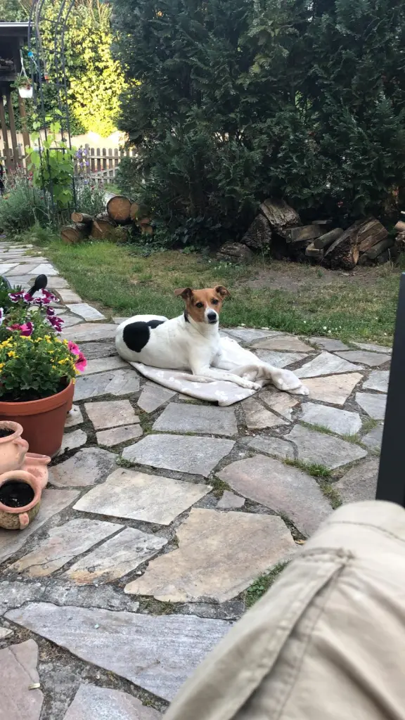 Image from Frieda
