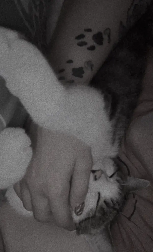 Du warst immer am kuscheln.