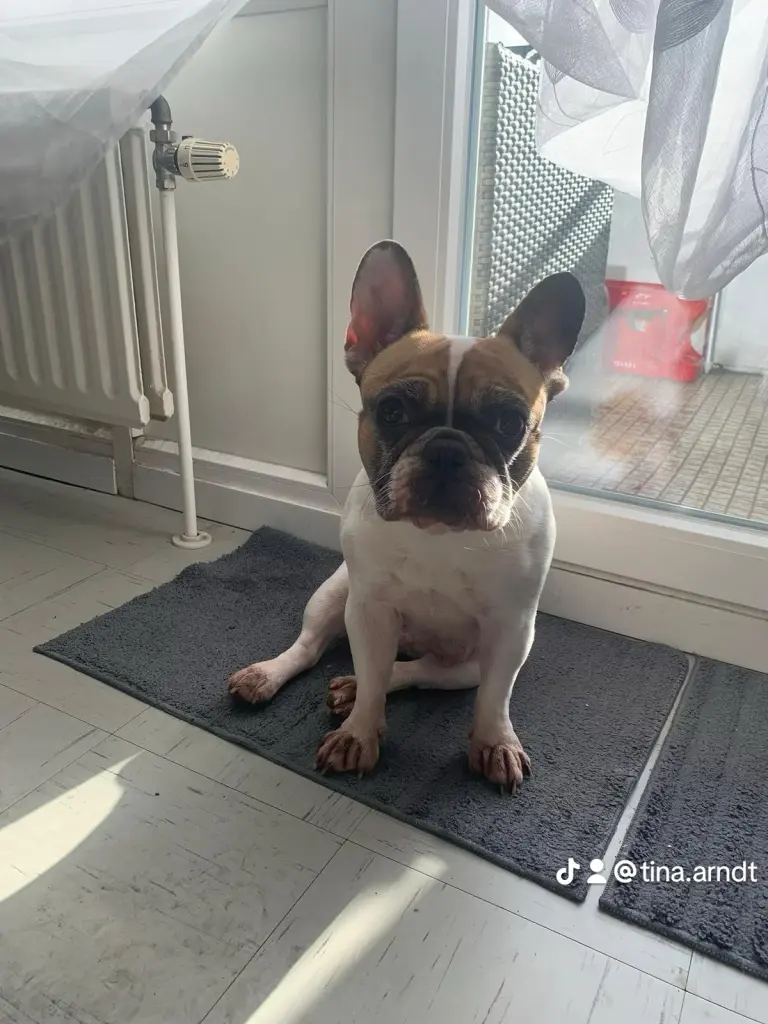 Andachtsbild von Tina Arndt