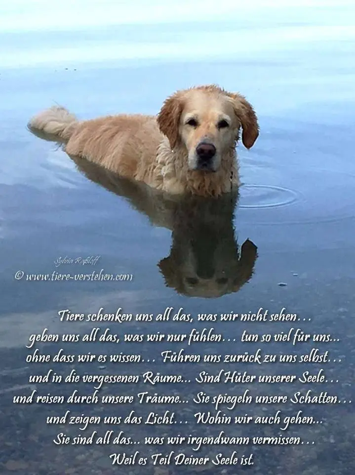 Condolence image of Martina