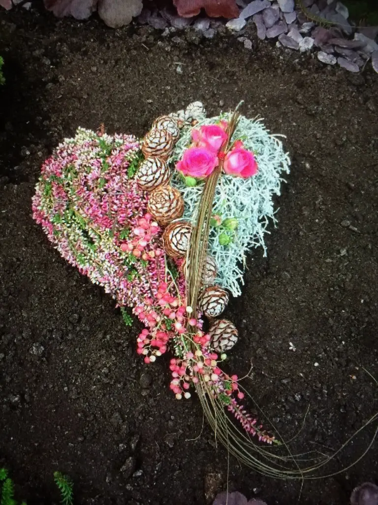 Condolence image of Eine Rose für Hippo