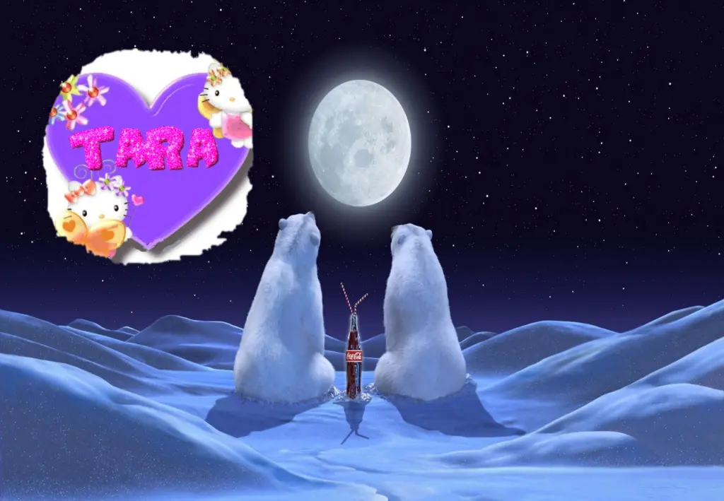 Condolence image of Fur Liebe Tara❤️