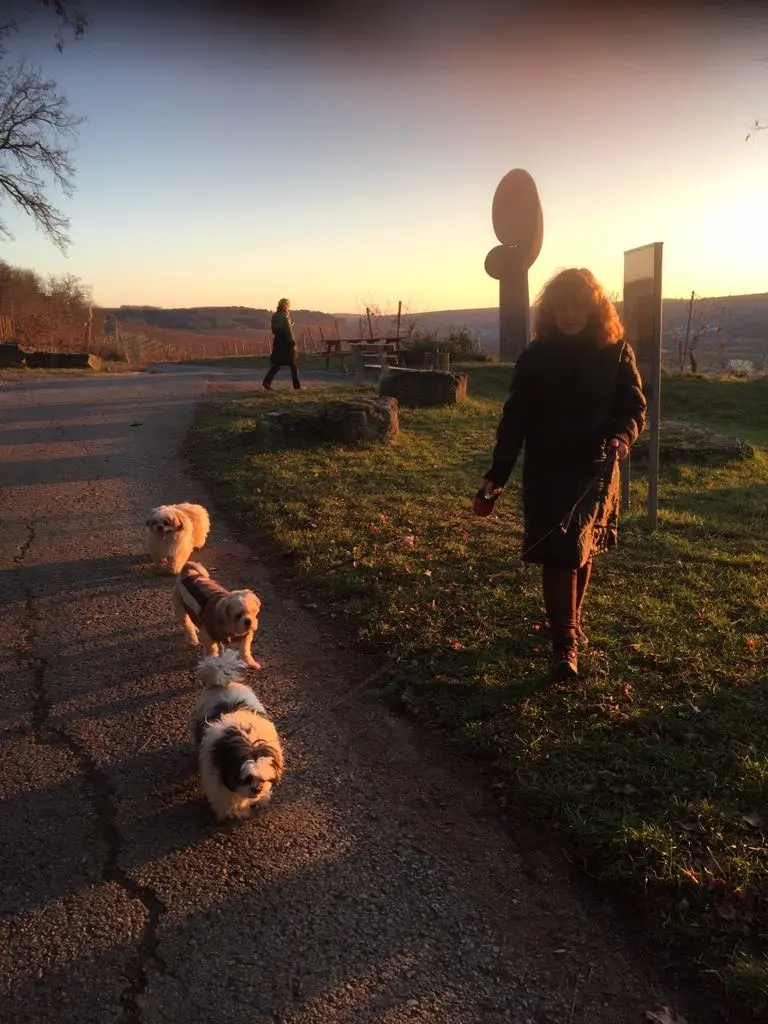 Condolence image of Marika mit Balou und Hippo im Herzen