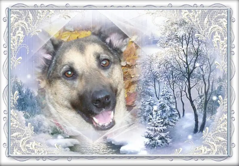 Condolence image of Gabriele mit Luna im Herzen