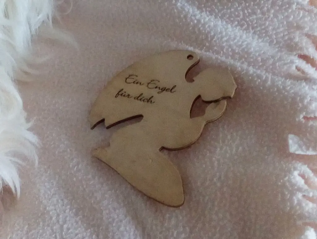 Condolence image of Hippos Frauchen