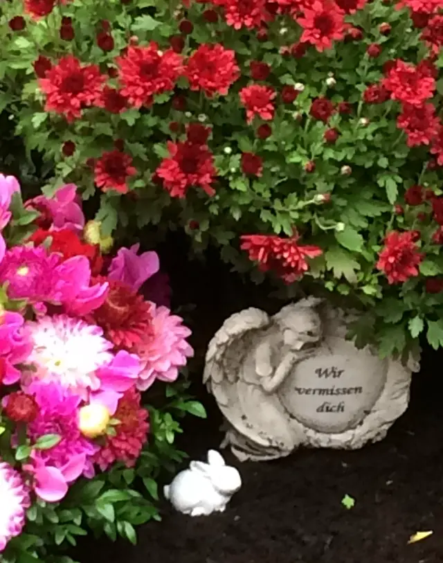 Condolence image of Eine Jahresrose für Hippo