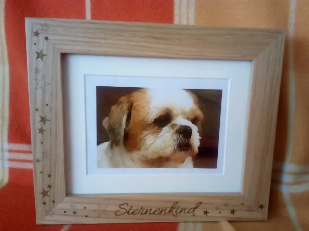 Condolence image of Deinem Frauchen 