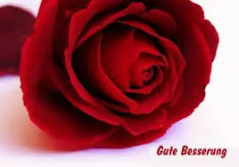 Condolence image of Jutta mit Purzel tief im Herzen ✟ 08.05.2016