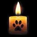 Condolence image of Marika mit Balou und Hippo im Herzen