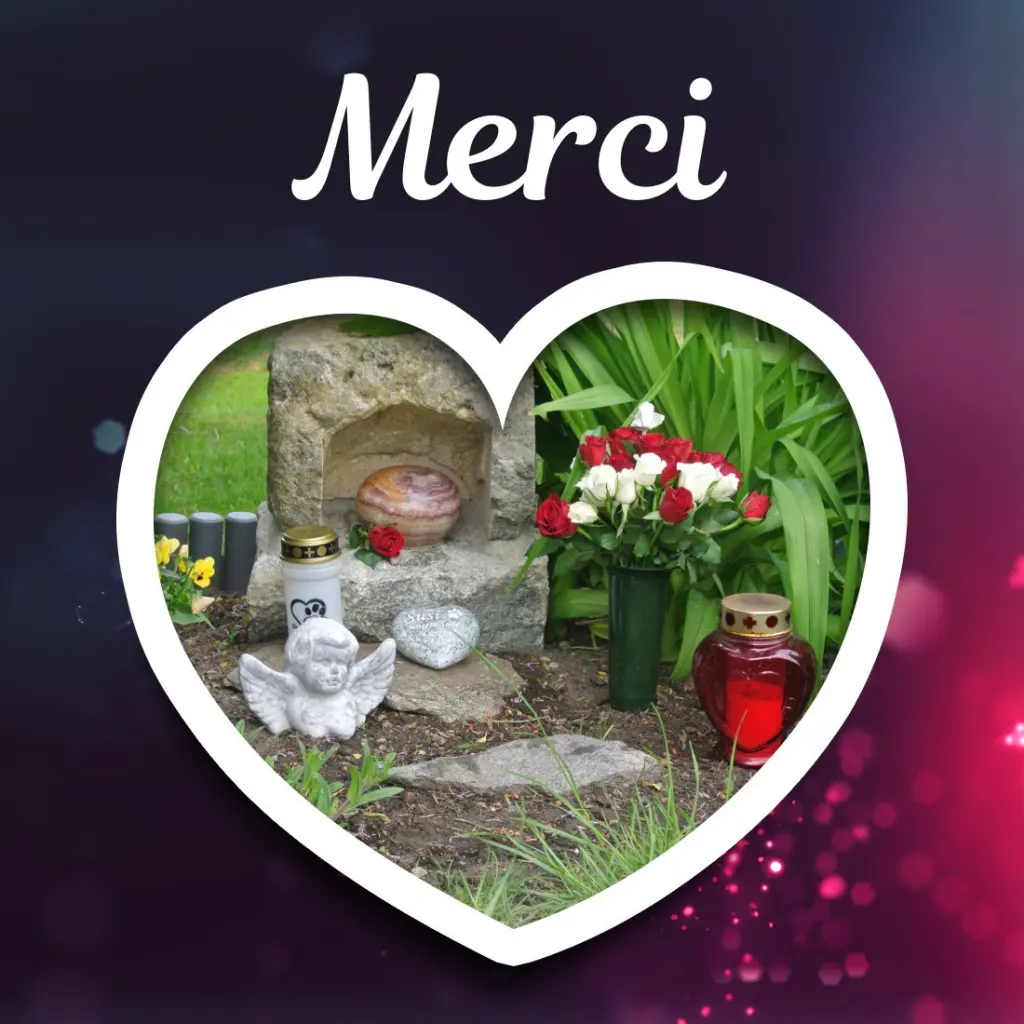 Condolence image of Kathrin mit Susi im Herzen