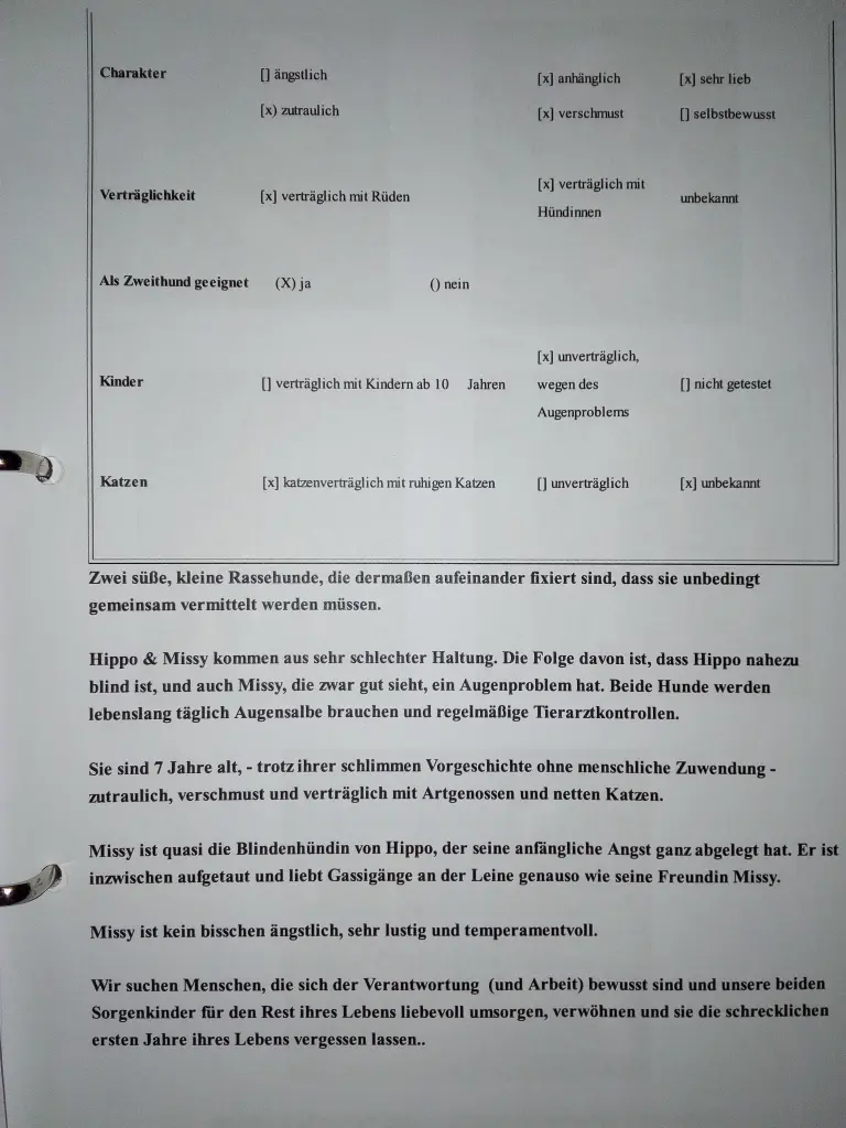Condolence image of Frauchen