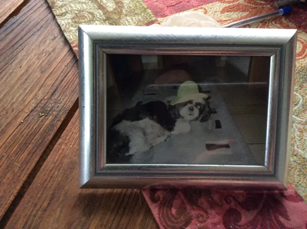 Condolence image of Heidi 