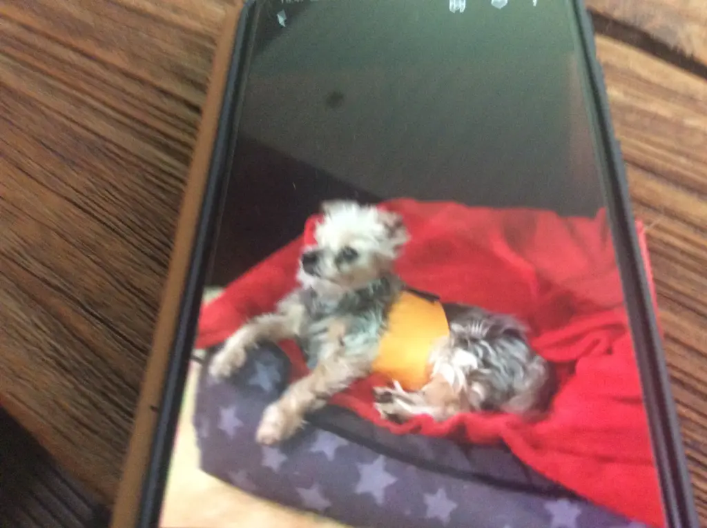 Condolence image of Heidi