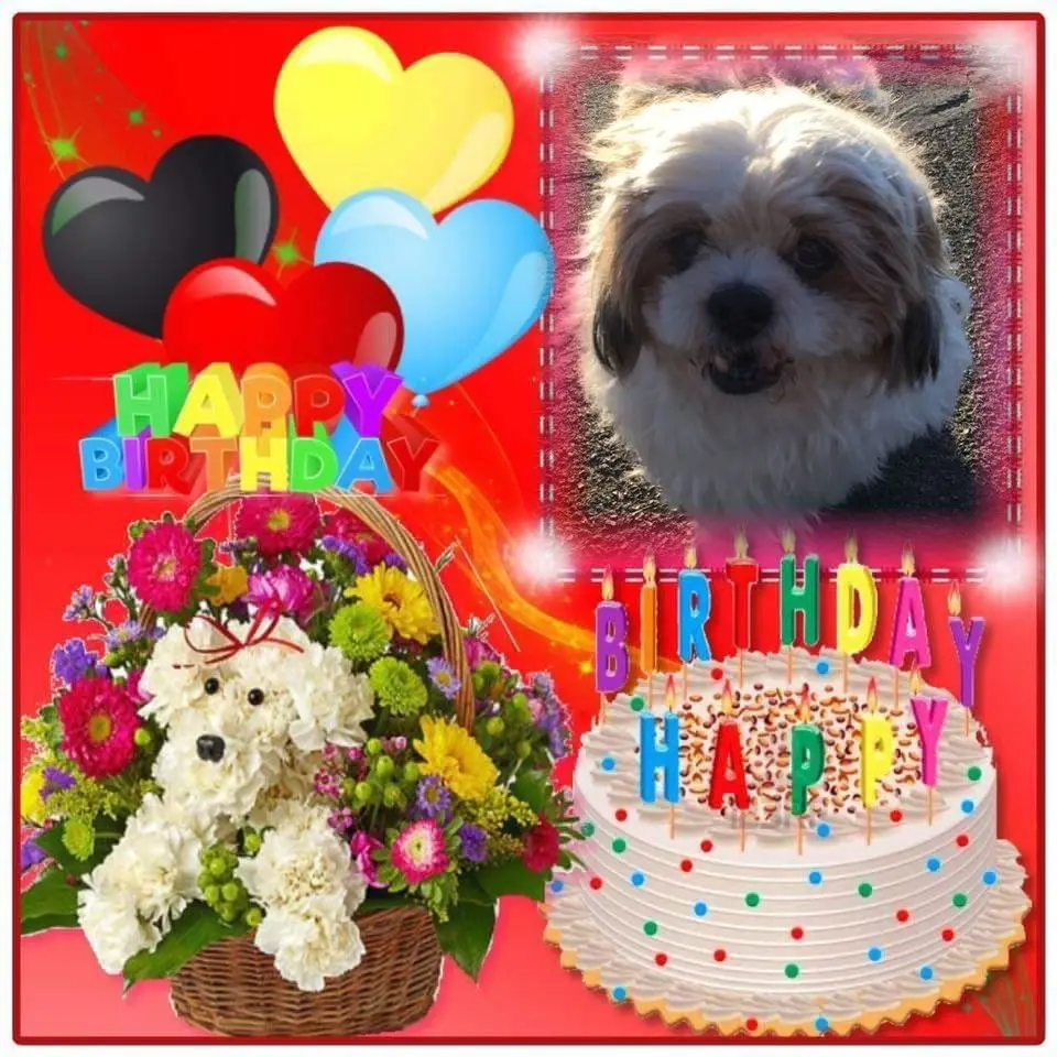 Condolence image of 15.Geburtstag❤️❤️❤️❤️❤️❤️❤️❤️❤️❤️❤️❤️❤️❤️❤️