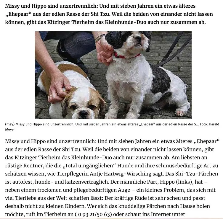 Condolence image of Rosen für Dich zum 8. Adoptions- und 15. Geburtstag