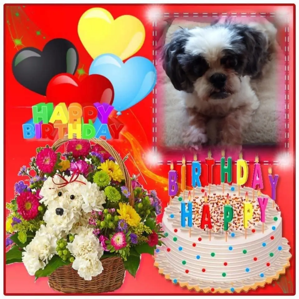 Condolence image of 15.Geburtstag❤️❤️❤️❤️❤️❤️❤️❤️❤️❤️❤️❤️❤️❤️❤️