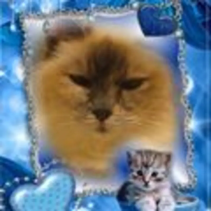Condolence image of Jojo sagt Danke