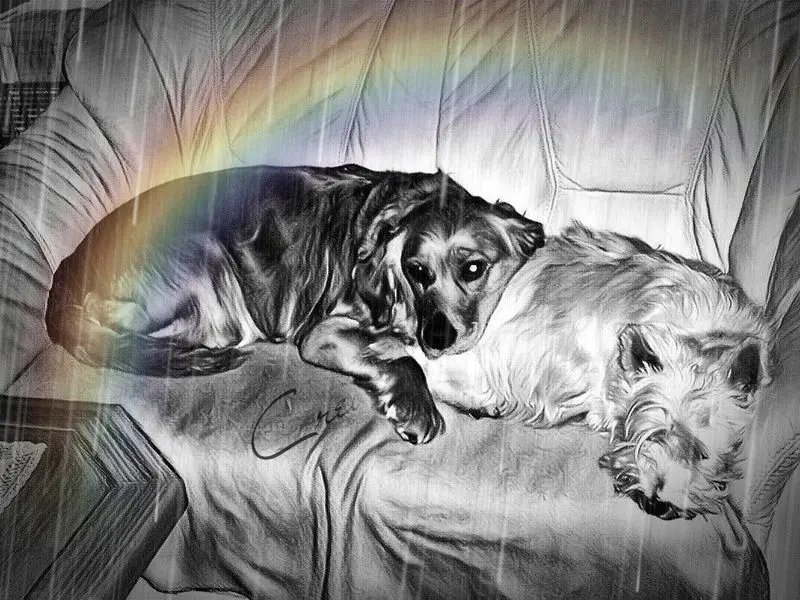 Condolence image of Ellen mit Lina ❤️