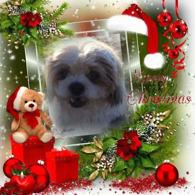 Condolence image of ❤️WEIHNACHTEN❤️❤️❤️