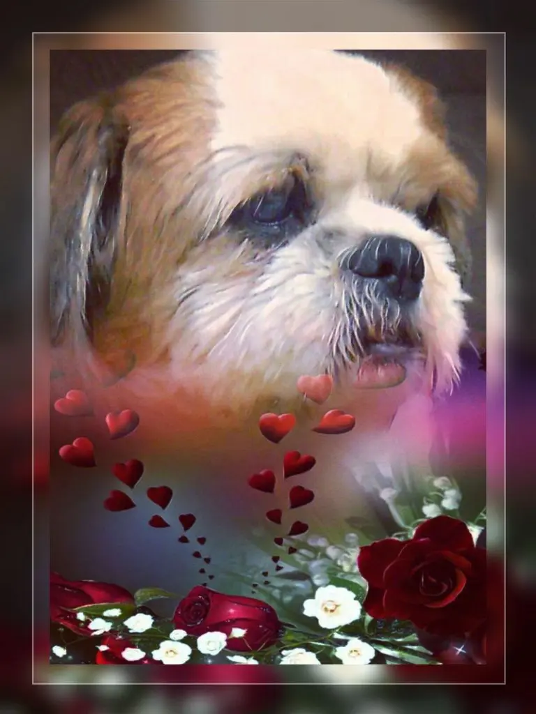 Condolence image of Ellen mit Lina ❤️