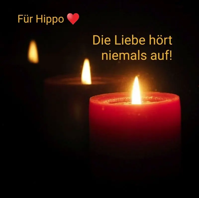 Condolence image of Unbekannt