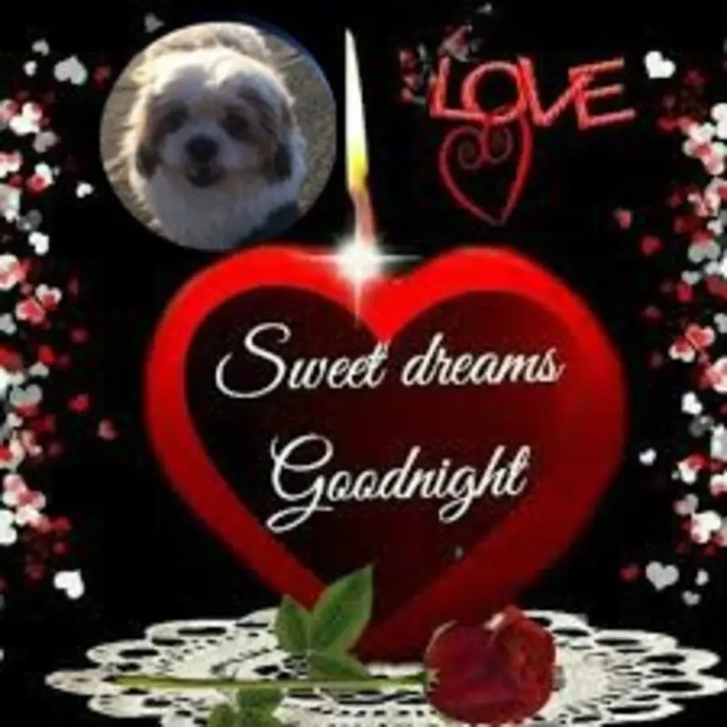 Condolence image of Gute Nacht❤️❤️❤️