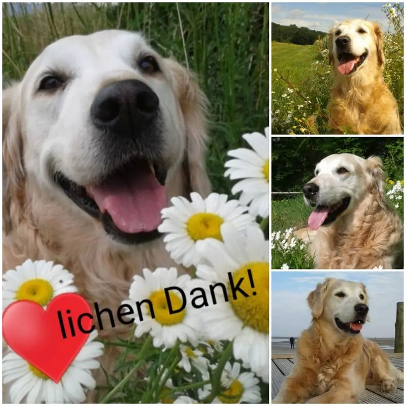 Condolence image of Unbekannt