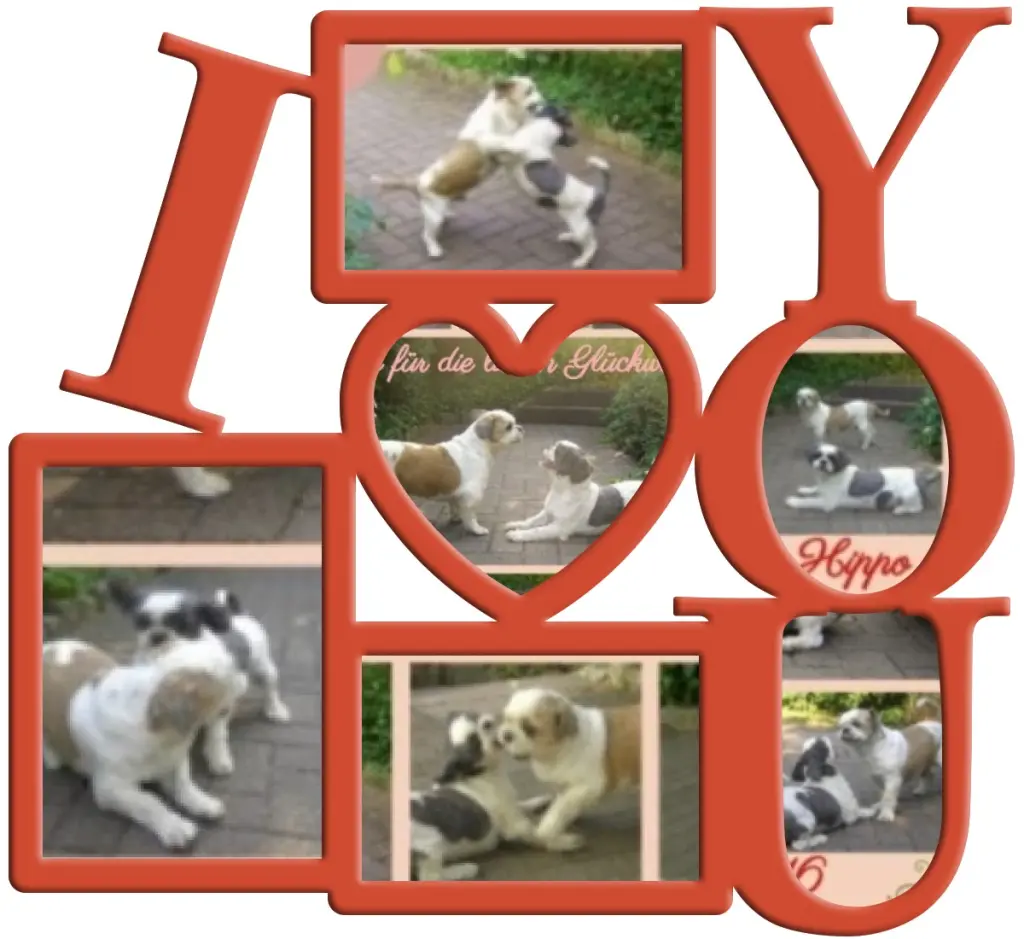 Condolence image of Frauchen Herrchen Missy