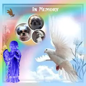 Condolence image of Liebe❤️❤️❤️Hippolein❤️