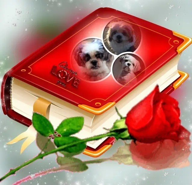 Condolence image of Sonntags❤️Rosen❤️❤️❤️❤️❤️❤️❤️❤️
