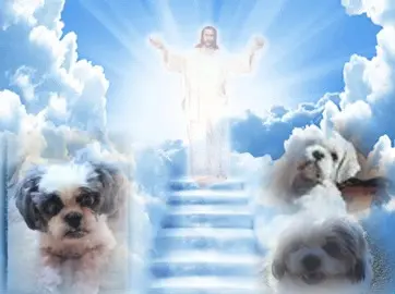 Condolence image of ❤️MISSYLEIN❤️