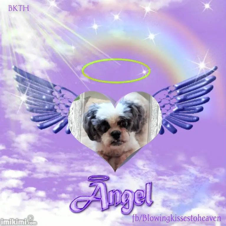 Condolence image of 2 Wochen....