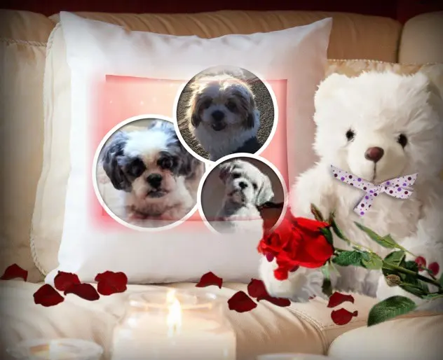 Condolence image of Sonntags❤️Rosen❤️❤️❤️❤️❤️❤️
