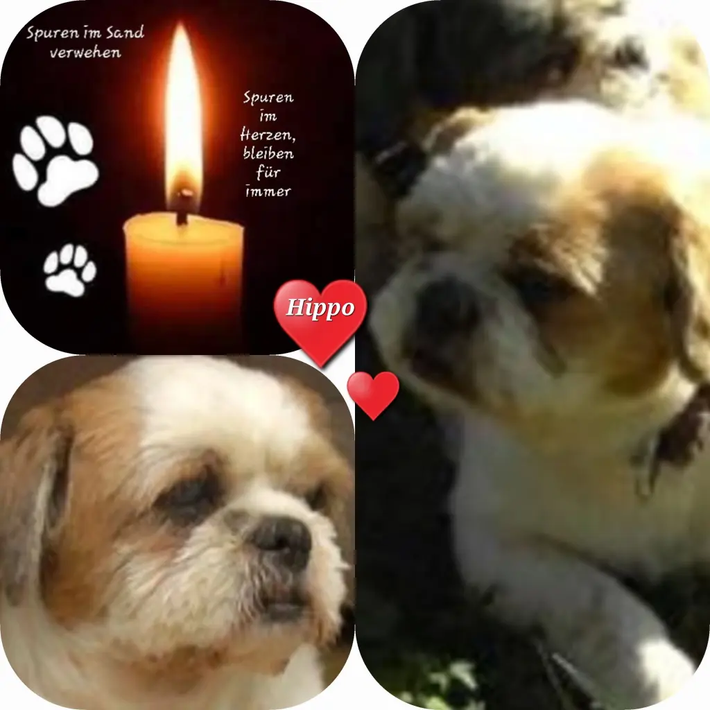 Condolence image of Birgit