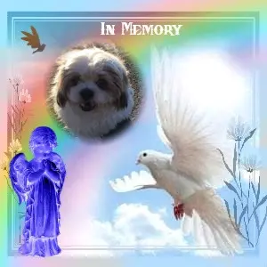 Condolence image of 5.Sternchen❤Gedenktag❤❤❤❤❤