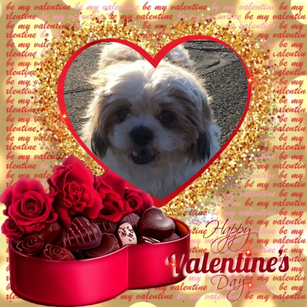 Condolence image of Valentins❤️Rosen❤️❤️❤️❤️❤️❤️❤️❤️