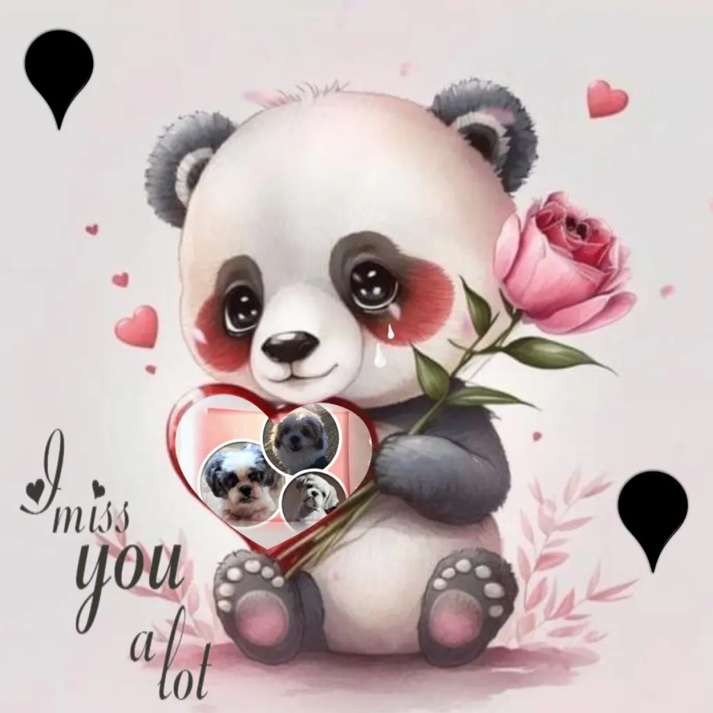 Condolence image of Sonntags❤️Rosen❤️❤️❤️❤️❤️❤️