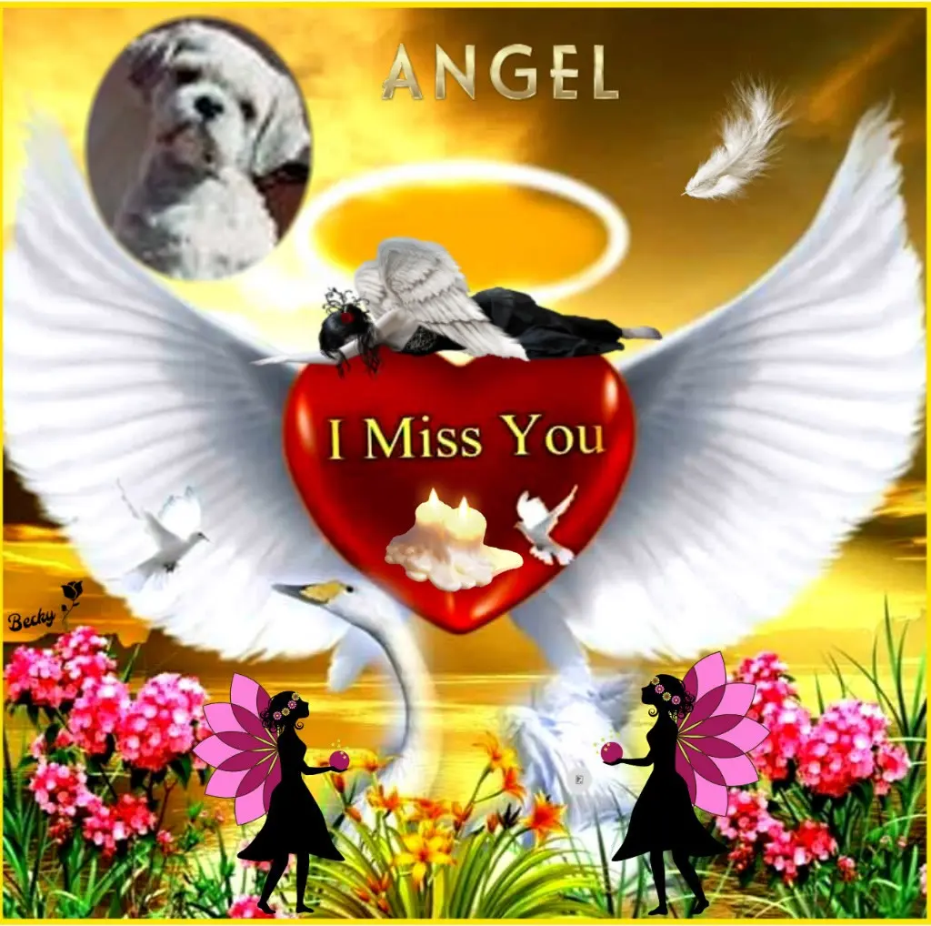 Condolence image of ❤️❤️❤️❤️❤️❤️❤️