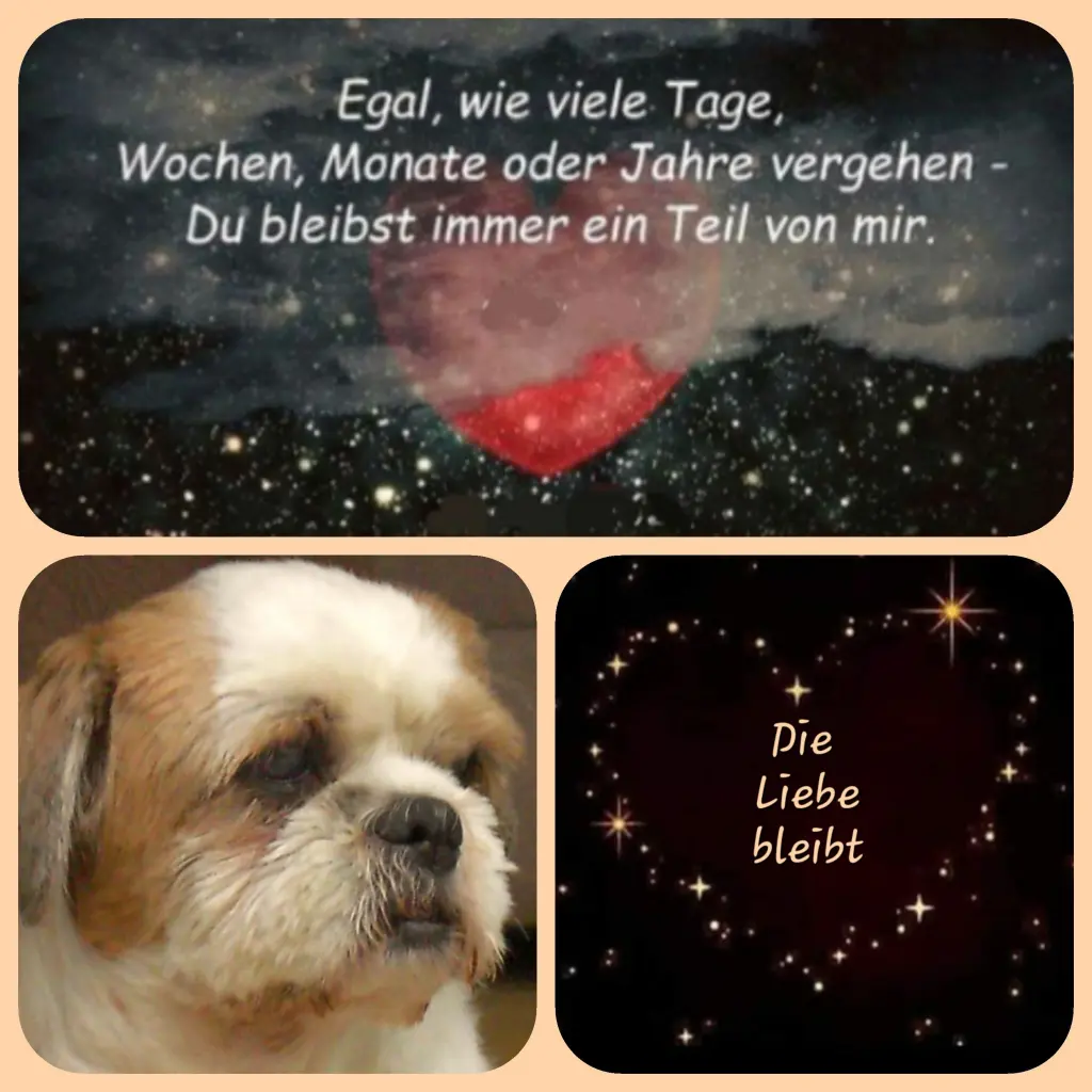 Condolence image of Birgit