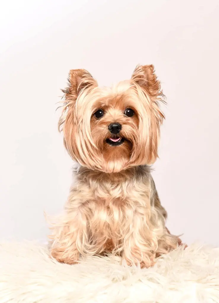 Condolence image of Melinda Markovics