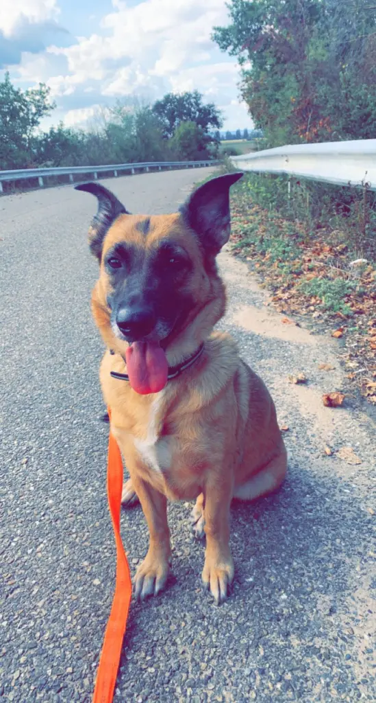 Condolence image of Nicole