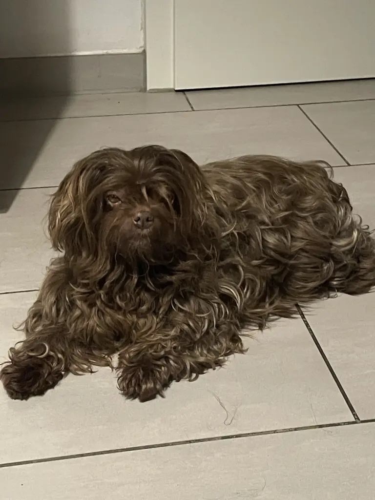 Kasumy ich liebe dich 💔