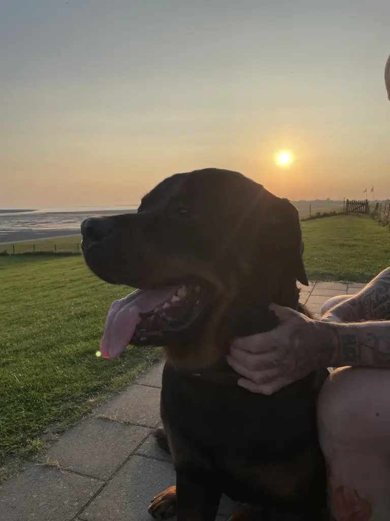 Andachtsbild von Pia Kröger