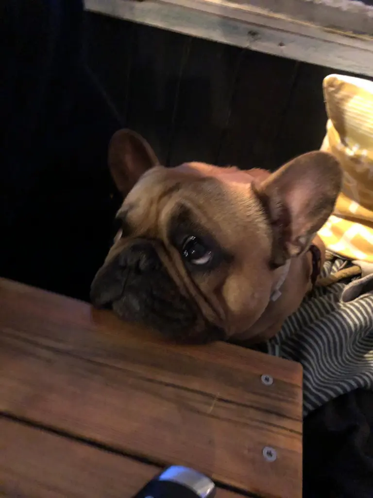 Dieser Blick