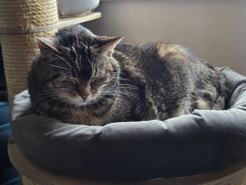 Das letzte von ihr gemachte Foto