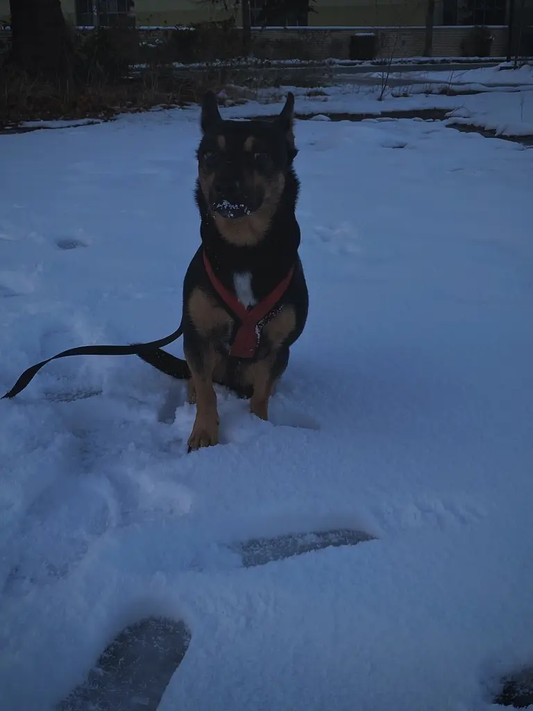Last time seeing Snow