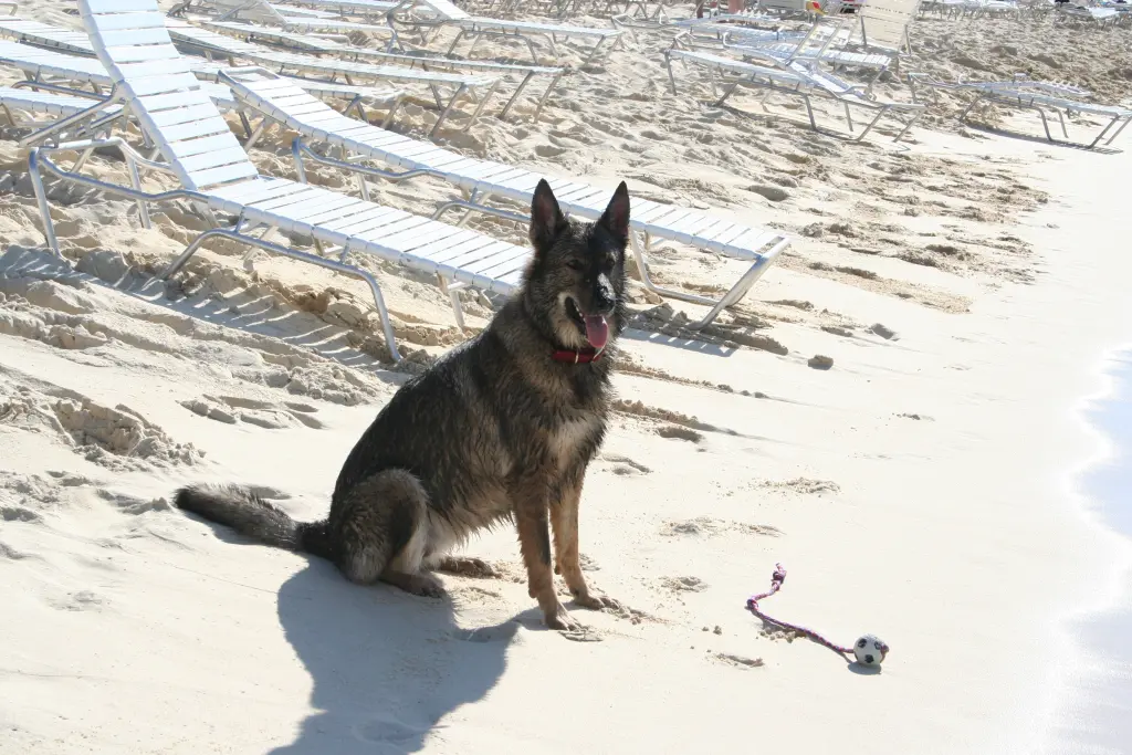 Image from Baja