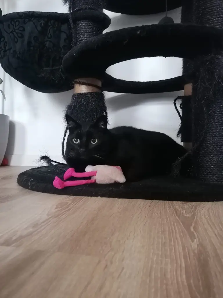 Condolence image of Sandy Seifert