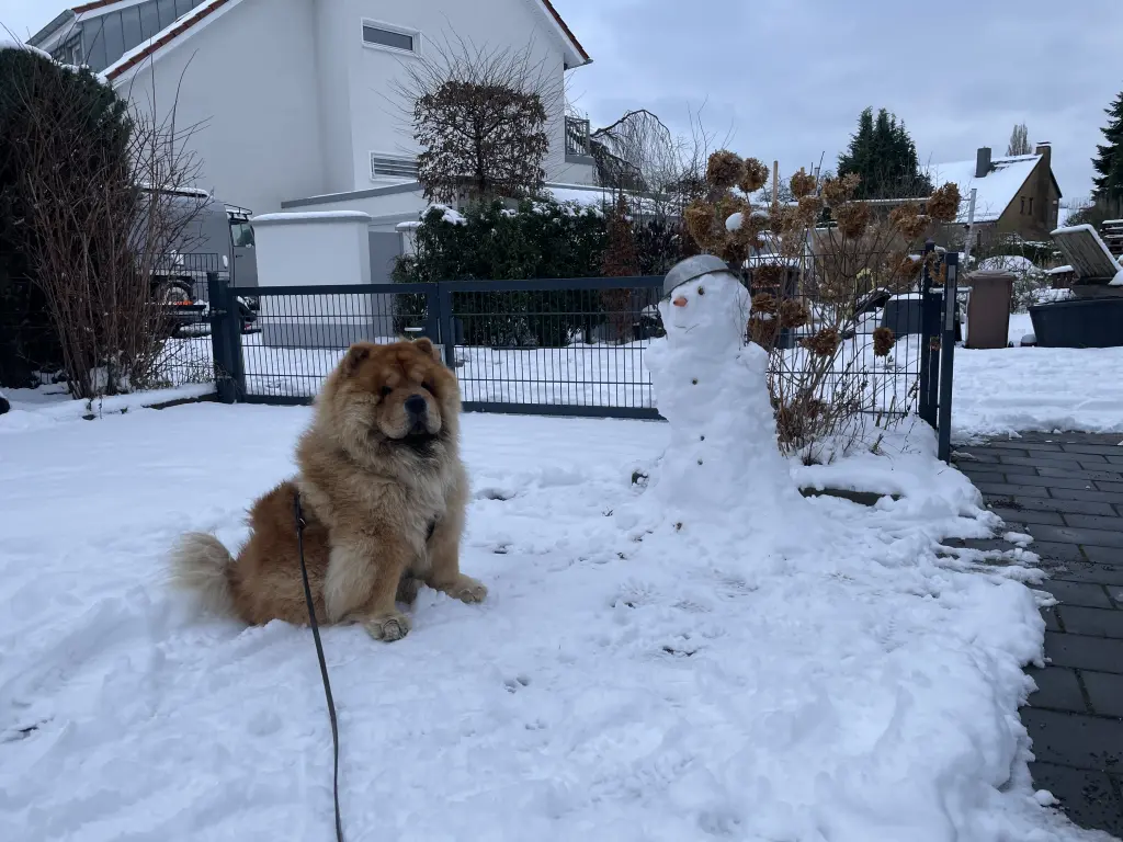 Bild von Tai