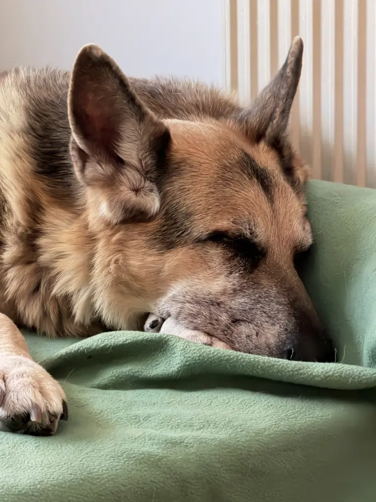 Andachtsbild von Heike